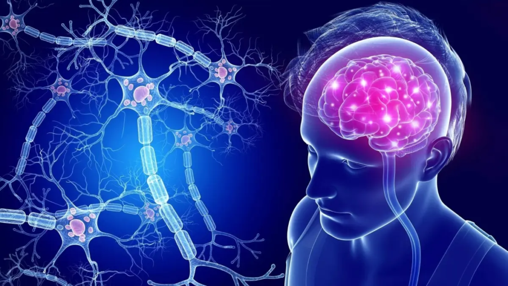 Does Brain Damage Alter Awareness?